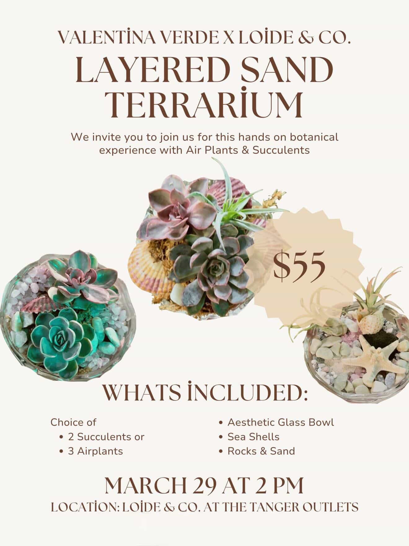 Layered Sand Terrarium