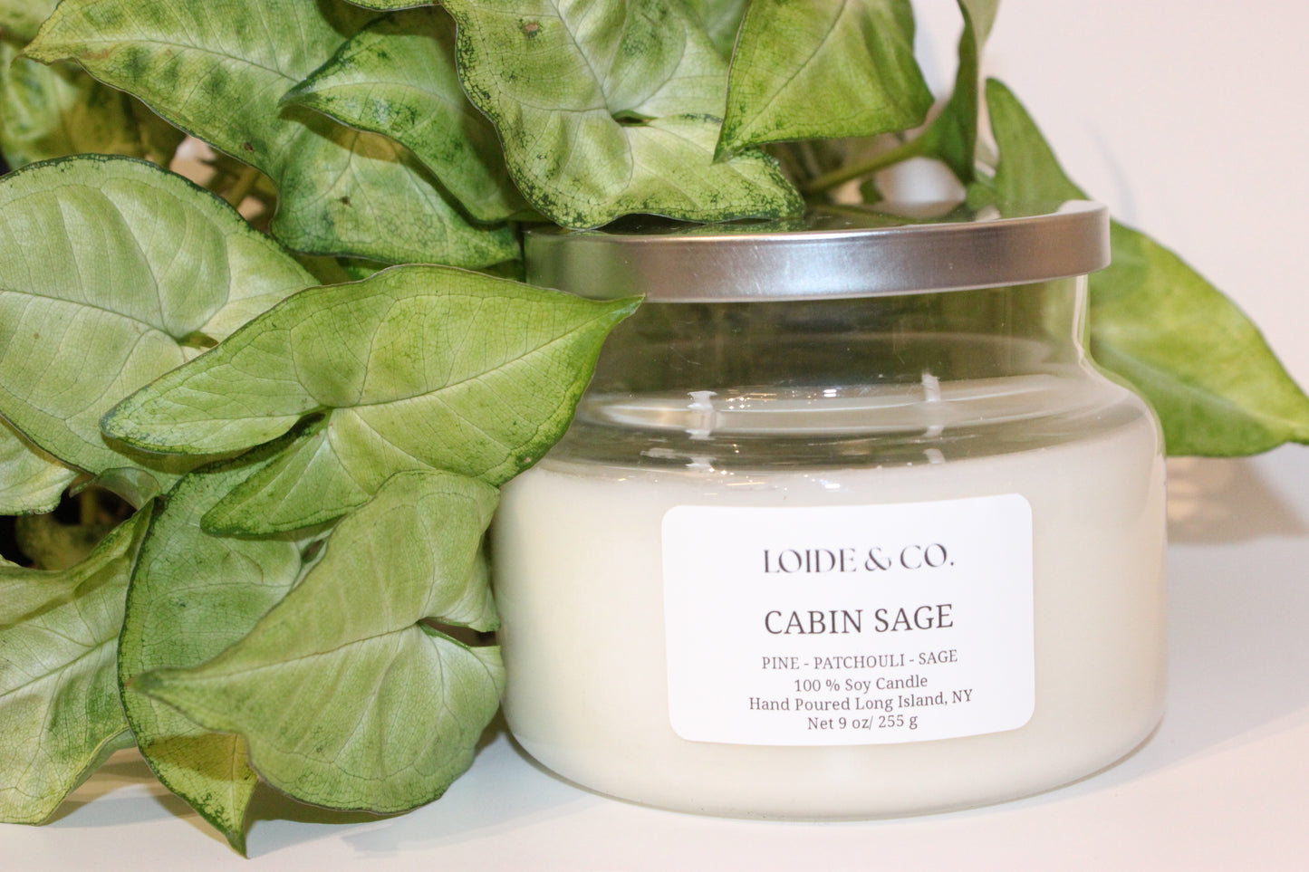CABIN SAGE CANDLE |9 OZ SOY CANDLE|