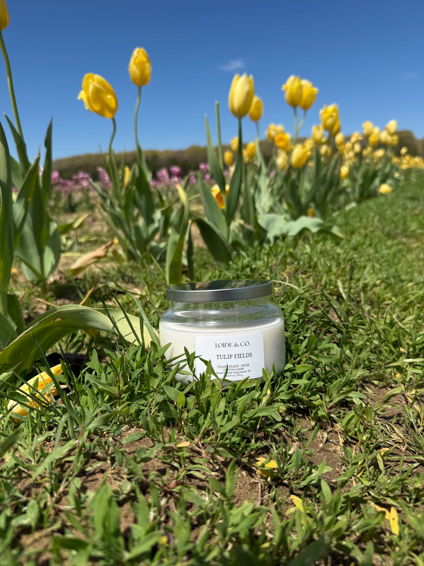 TULIP FIELDS CANDLE |9 OZ SOY CANDLE|