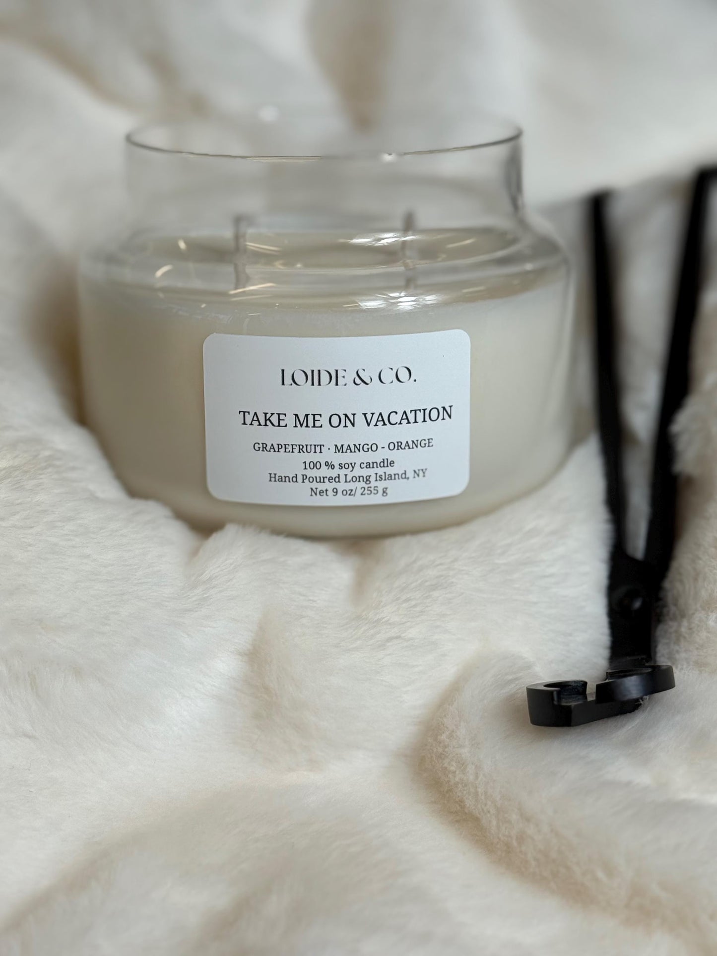 TAKE ME ON VACATION CANDLE |9 OZ SOY CANDLE|