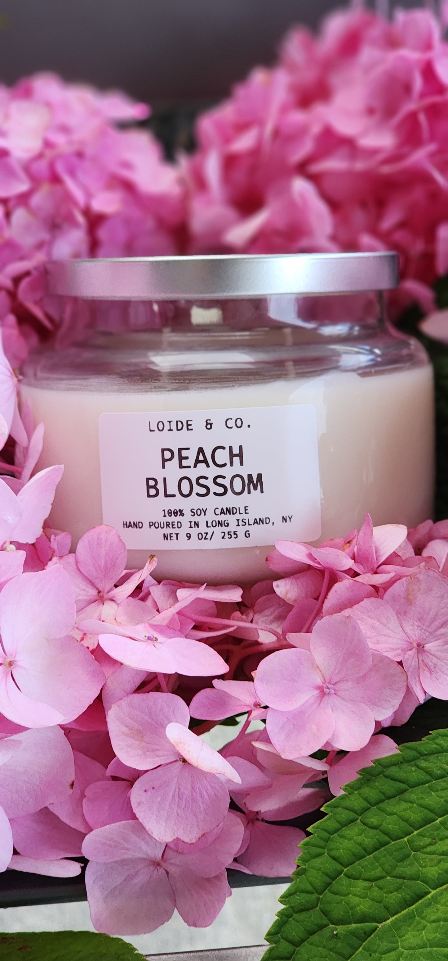 PEACH BLOSSOM