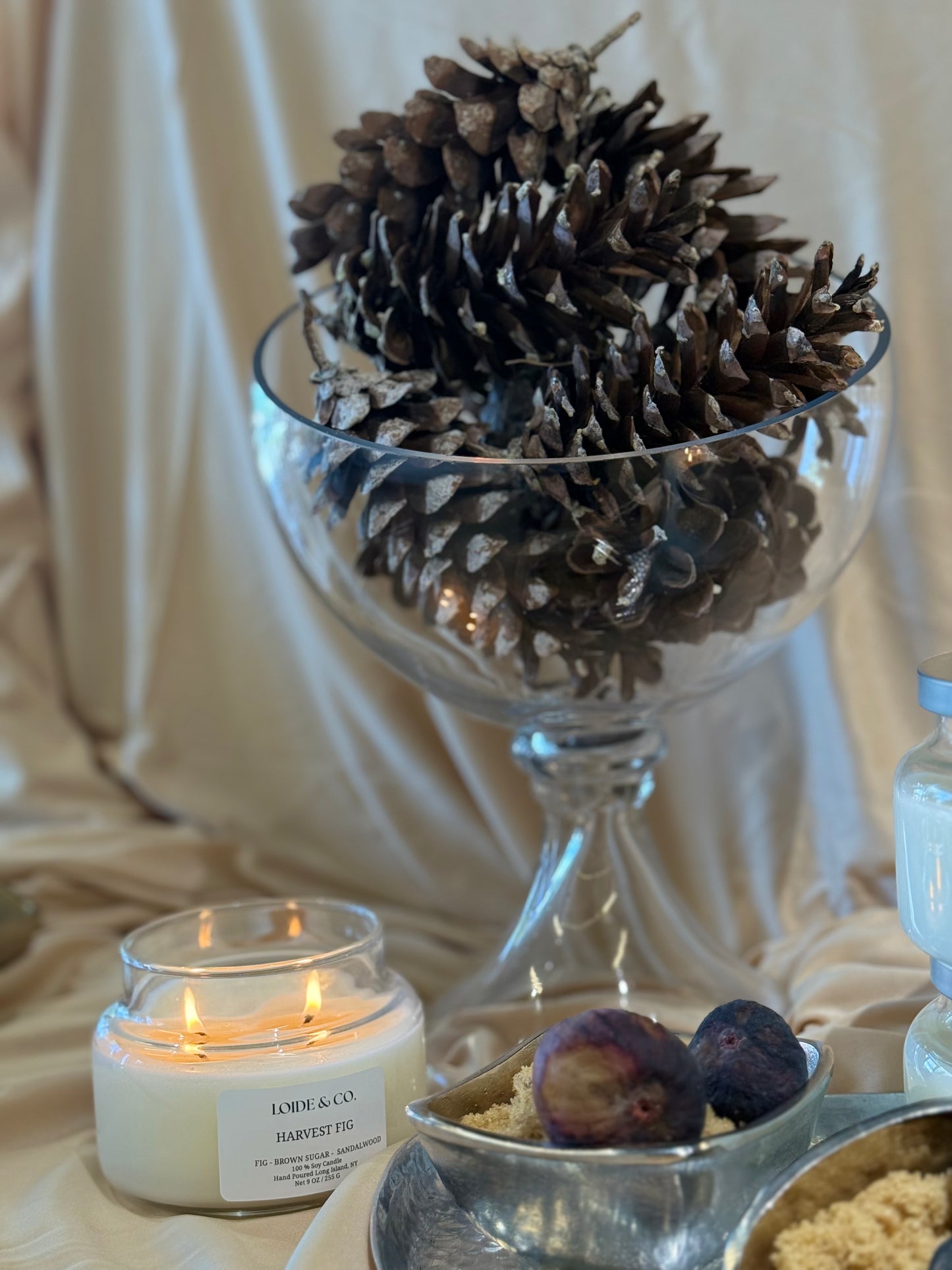 HAVERST FIG CANDLE | 9 OZ SOY CANDLE| FALL COLLECTION