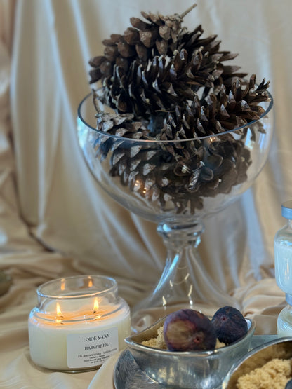 HAVERST FIG CANDLE | 9 OZ SOY CANDLE| FALL COLLECTION