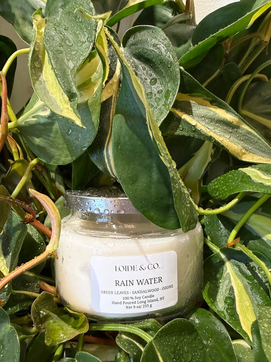 RAIN WATER CANDLE | 9 OZ SOY CANDLE |