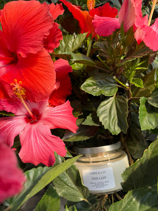PINK LADY CANDLE |9 OZ SOY CANDLE|