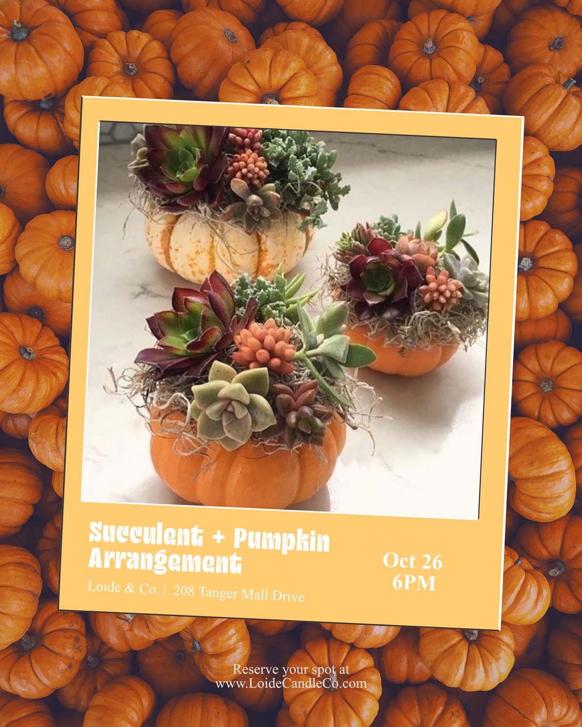 SUCCULENT + PUMPKIN ARRANGEMENT