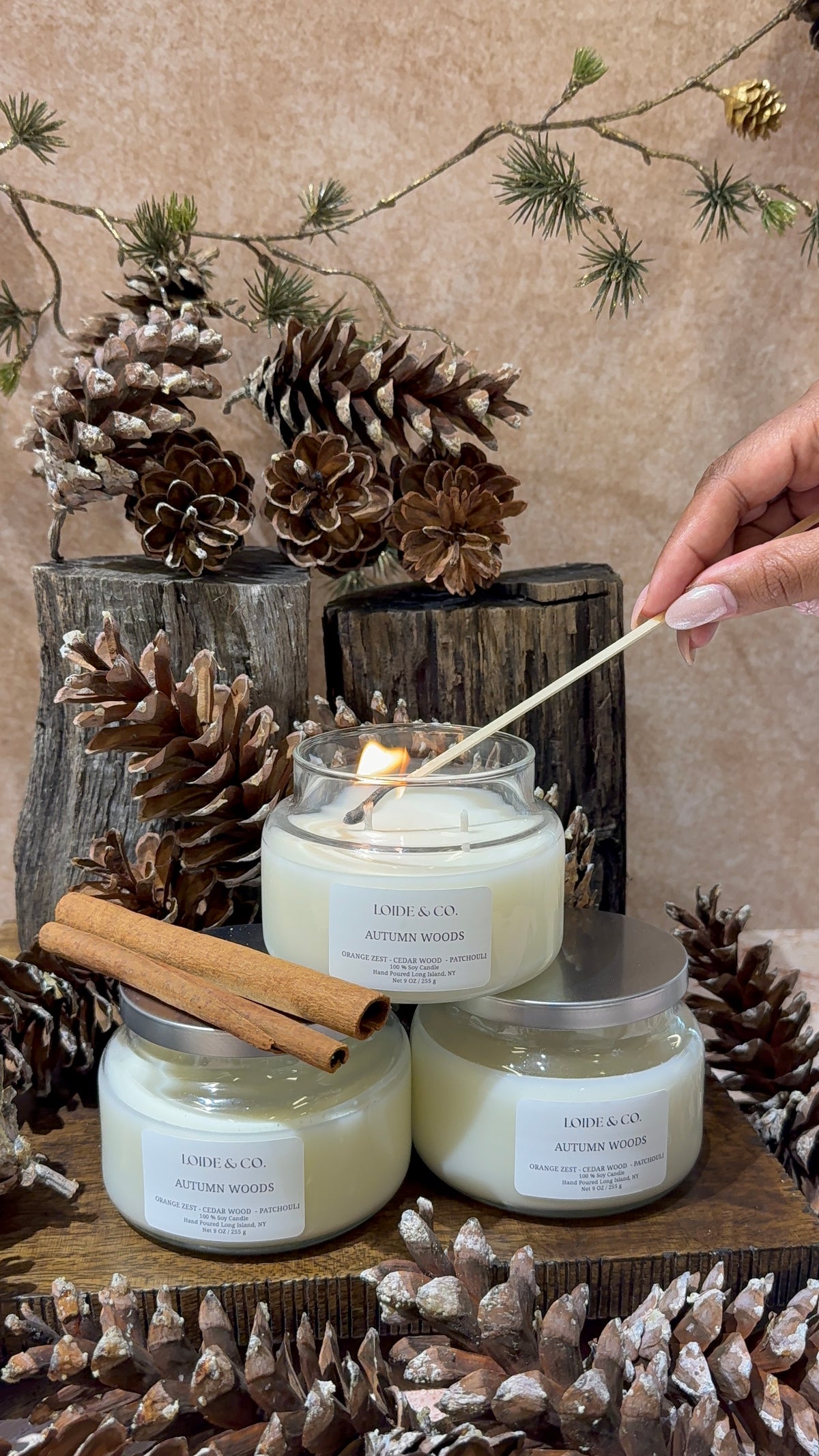 AUTUMN WOOD CANDLE| 9 OZ SOY CANDLE| FALL COLLECTION