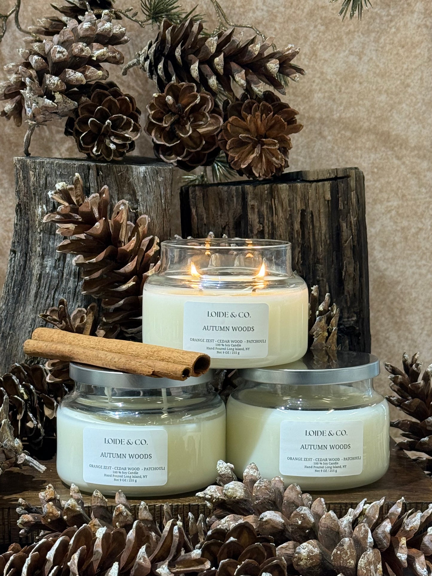 AUTUMN WOOD CANDLE| 9 OZ SOY CANDLE| FALL COLLECTION